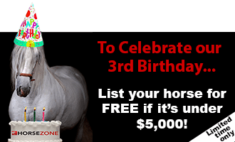 Birthday Special!