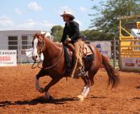 Horsezone View images of horses and equestrian equipment while browsing